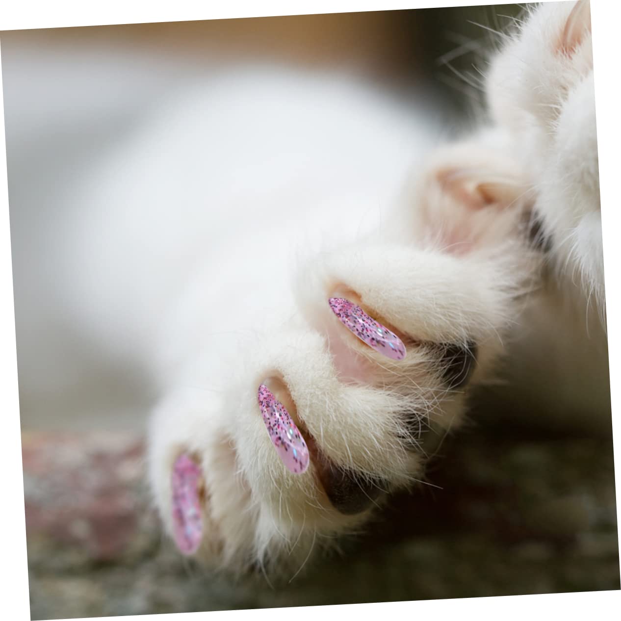 Kisangel 300 Pièces Ensemble D'Ongles pour Animaux De Compagnie Capuchons De Griffes Capuchons D'Ongles De Chat Couvre-Griffes De Chat Capuchons D'Ongles pour Animaux De Compagnie en