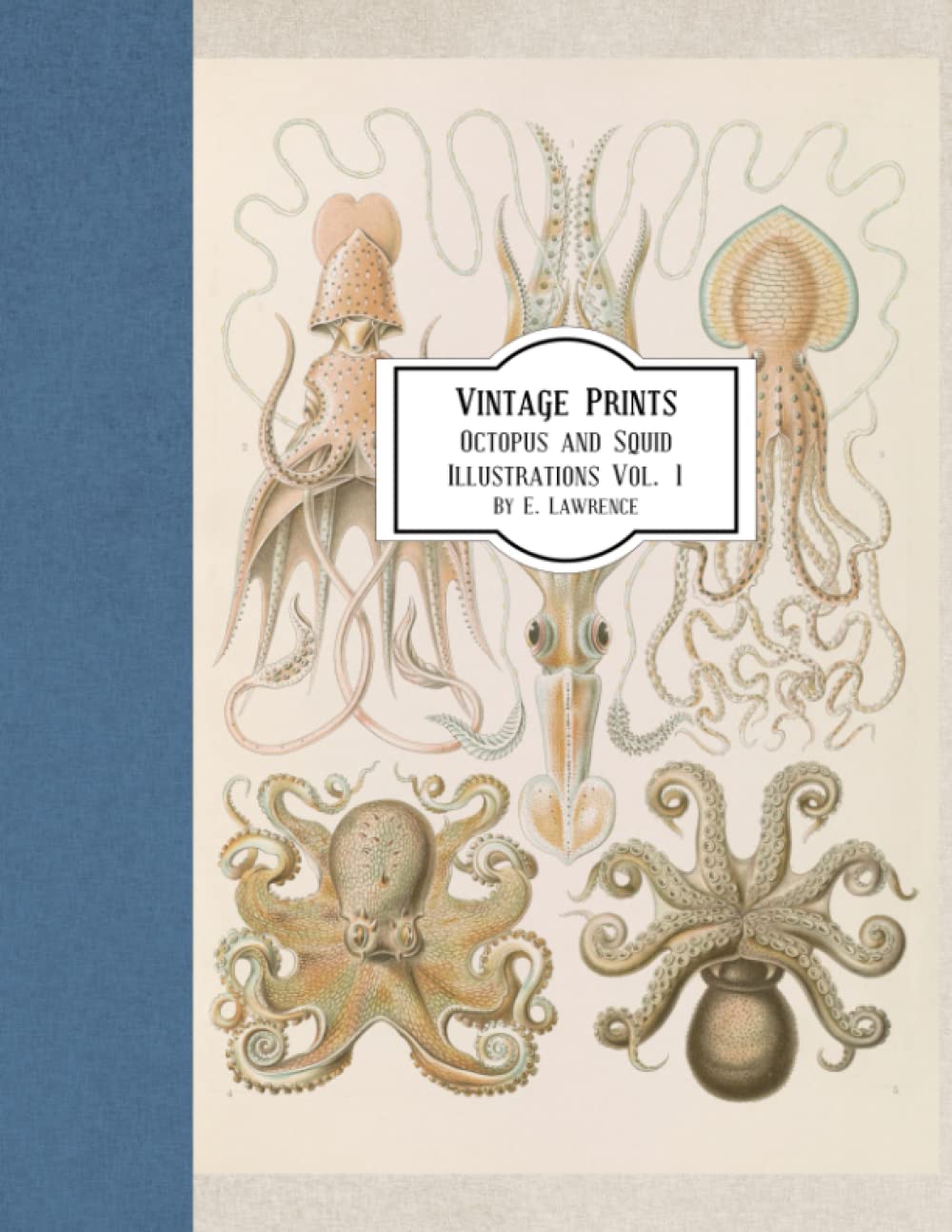 Vintage Prints: Octopus and Squid Illustrations Vol. 1