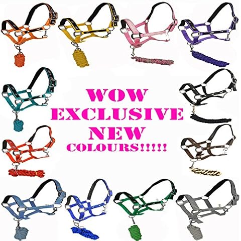 Equestrian Padded Protection Headcollar Leadrope All Colours and Sizes Cover