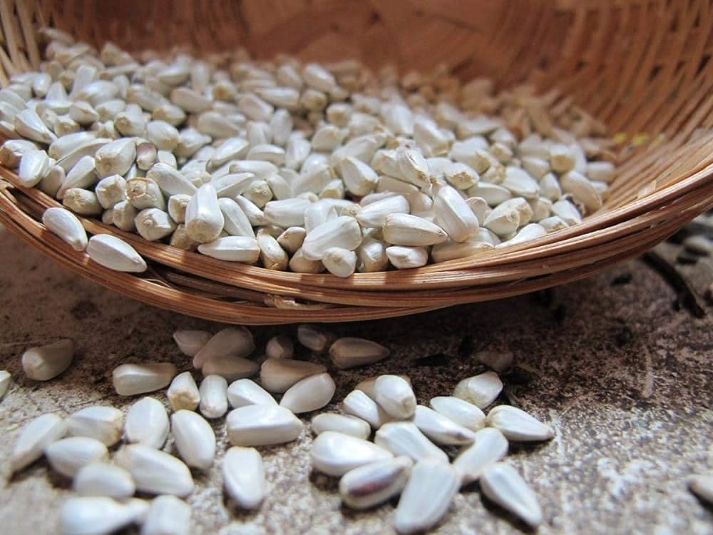 Ariya Safflower Seeds/Kusum Seeds for Birds Dry and Clean Kusum beej Seeds for Bird Food Songbirds Natural Nutrition Food 450 gm