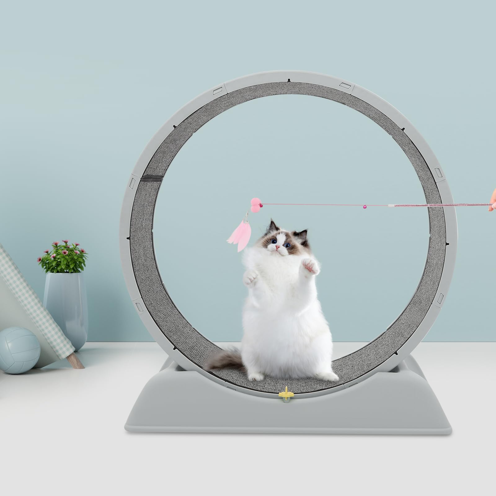 Rueda para gatos de 80 cm, silenciosa, con cerradura de seguridad, rueda grande para gatos domésticos, dispositivo de fitness para interiores con alfombra extraíble y protección contra