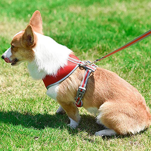 Festnight Arnês para cães Arnês para animais de estimação sem puxar Arrasto para cães com ar, malha