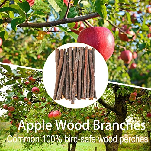 Luonfels-Bird-Perches-Large-Ladder-Birds-Cage-Accessories-18-Inches-Apple-Branch-Wooden-Bridge-Play-Stand-for-Cage-Accessories