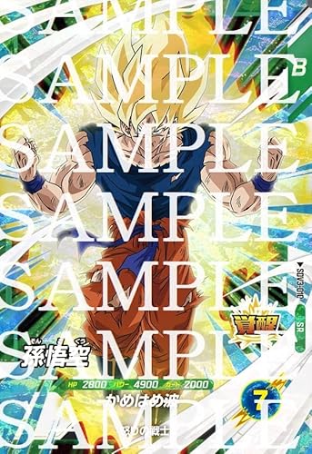 hS{[X[p[_Co[Y SDV3-010  SR