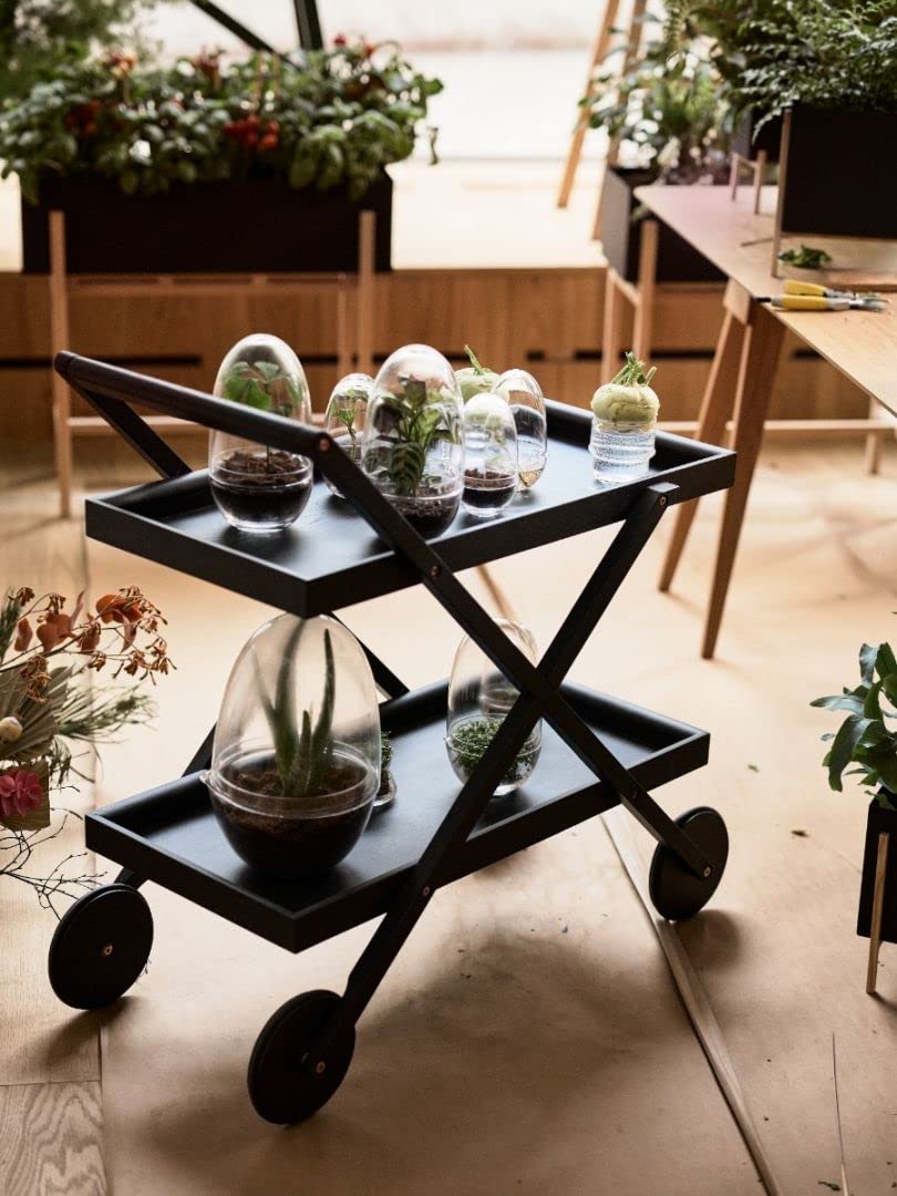 Design House Stockholm Grow Gewächshaus M, transparent H x Ø 24x12cm