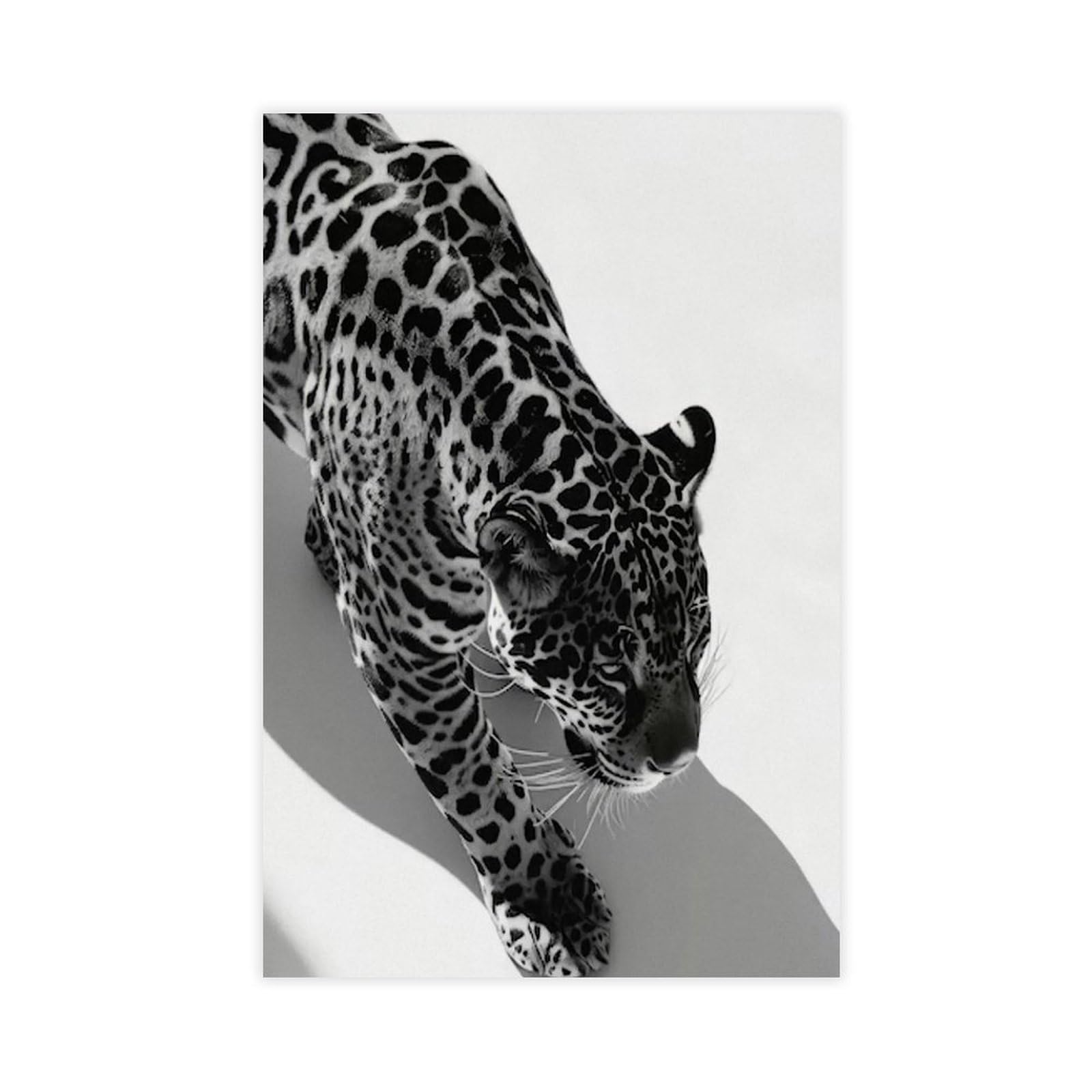 Wlqzfrwv Black And White Leopard, Cheetah Poster Canvas Poster Bedroom Decor Landscape Office Room Decor Gift 12X18inch(30X45cm)