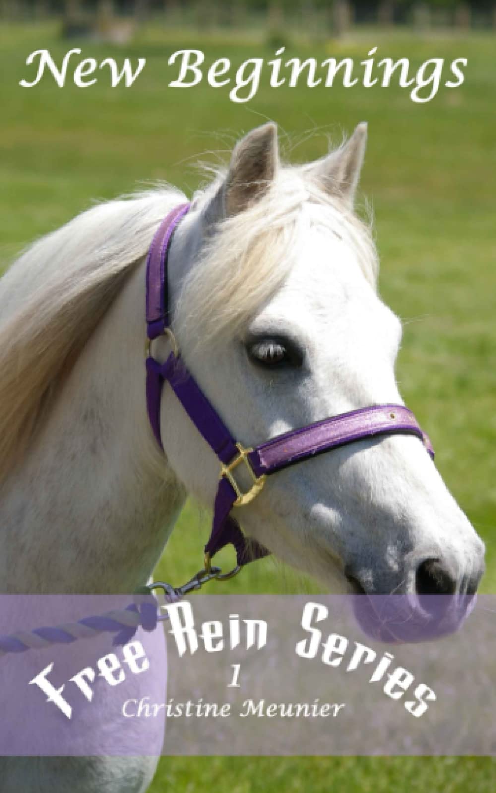 New Beginnings (Free Rein Series)