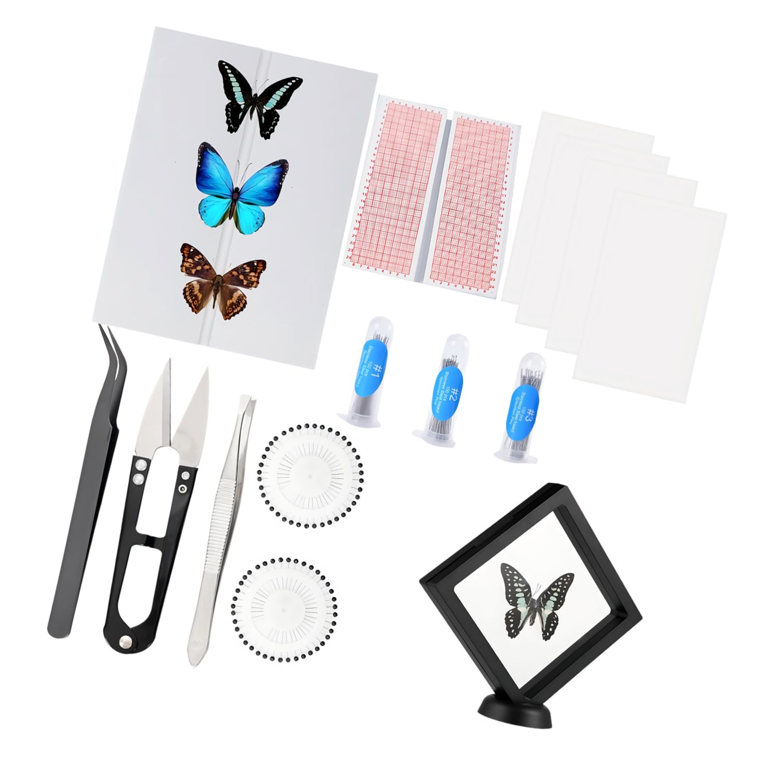 Bbajszx Complete Arthropod Preparation Equipment Set with EVA Foam Pinning Board Coordinate Paper and Stainless Steel Fixation Tools for Professional Entomology Study Mounting Accessories