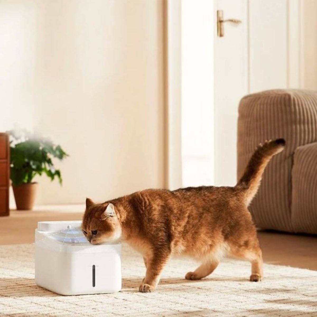 Xiaomi Fuente Inteligente para Mascotas 2