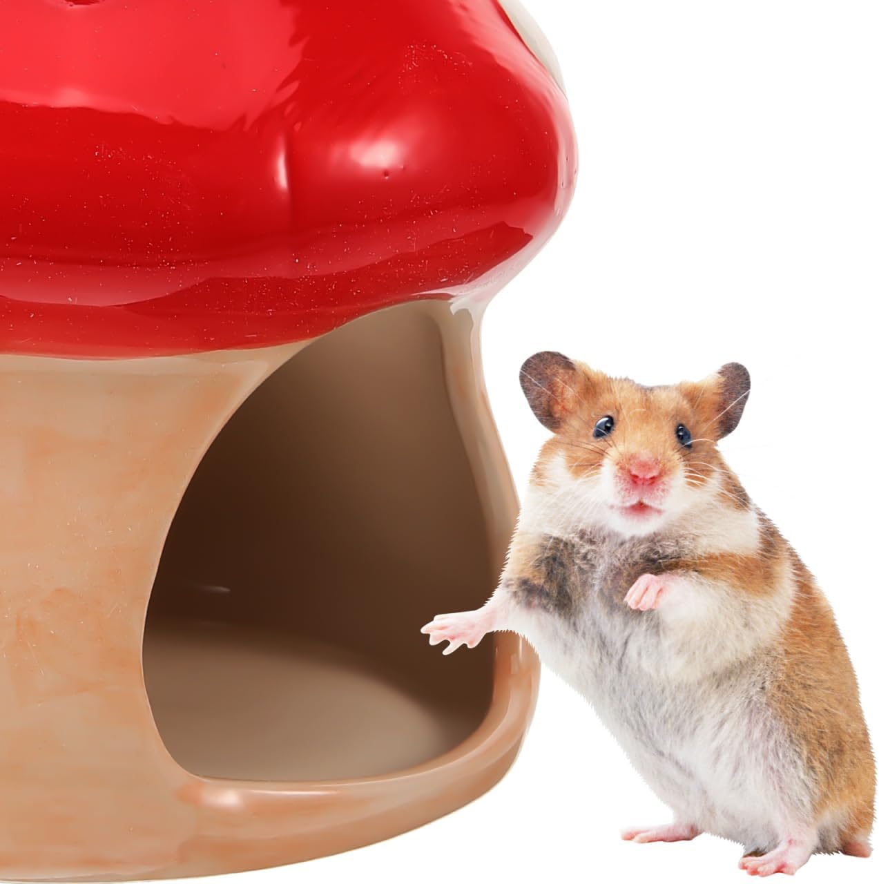 POPETPOP Ceramic Hamster Hideout Mushroom Nest Small Animal Sleeping Nest Cooling Habitat Shelter for Hamsters Gerbils Mice 3.74 Inch