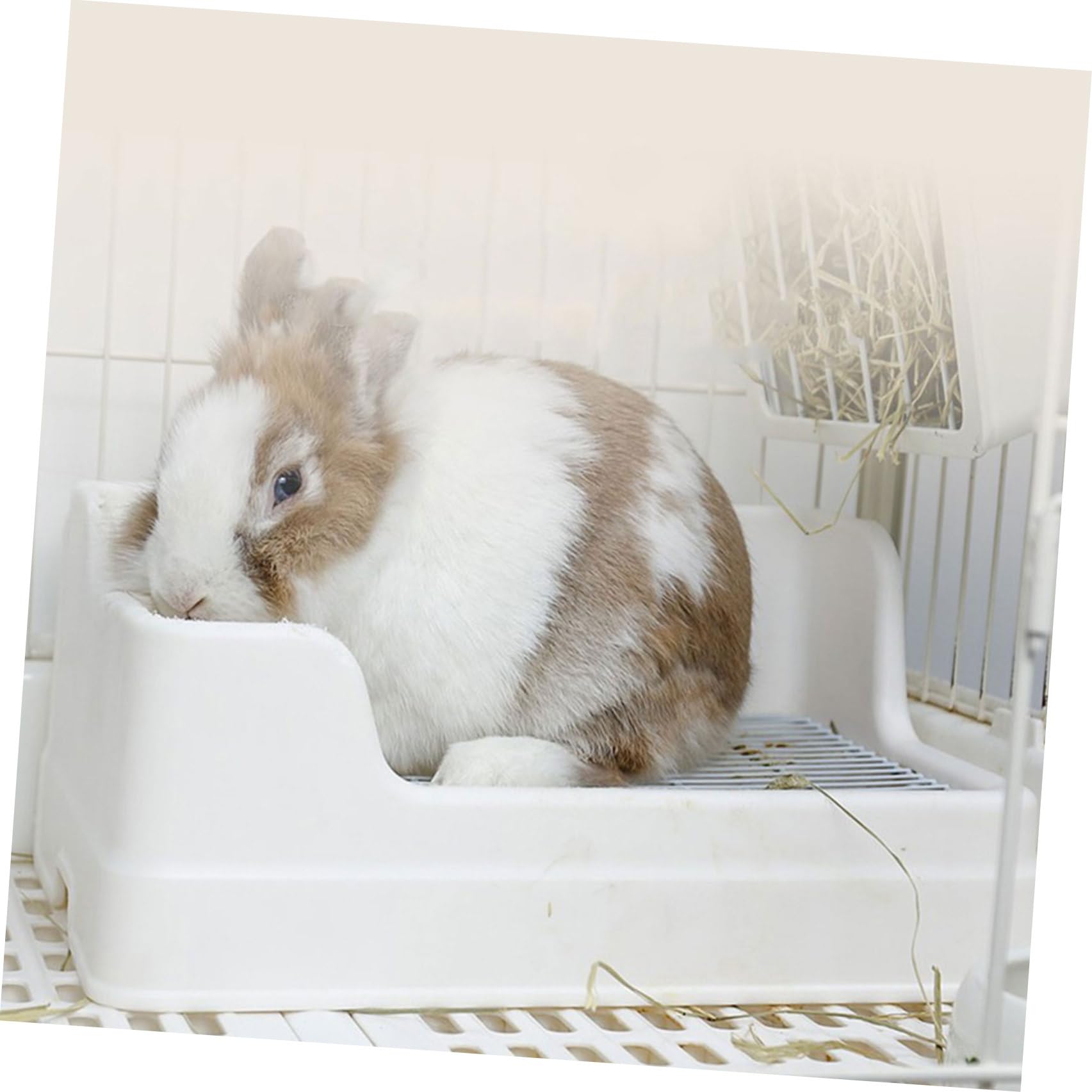 Lettiera per Conigli in Plastica Bianco, Materiale Riutilizzabile Griglia Separata, Toilette Grande Antiribaltamento per Animali Domestici e Conigli