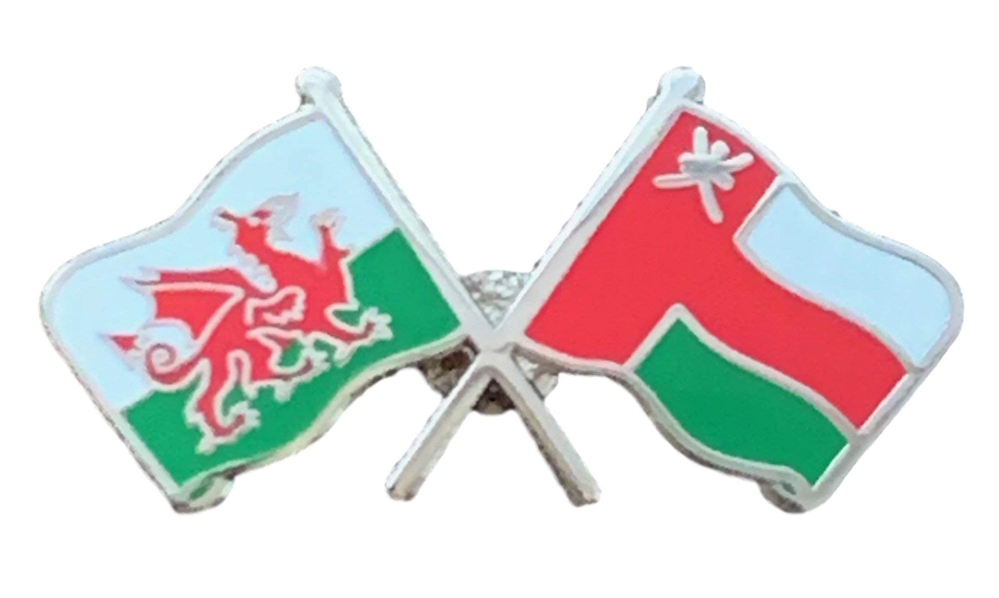 emblems gifts Wales & Oman Flags Friendship Courtesy enamel Lapel Pin Badge T1170
