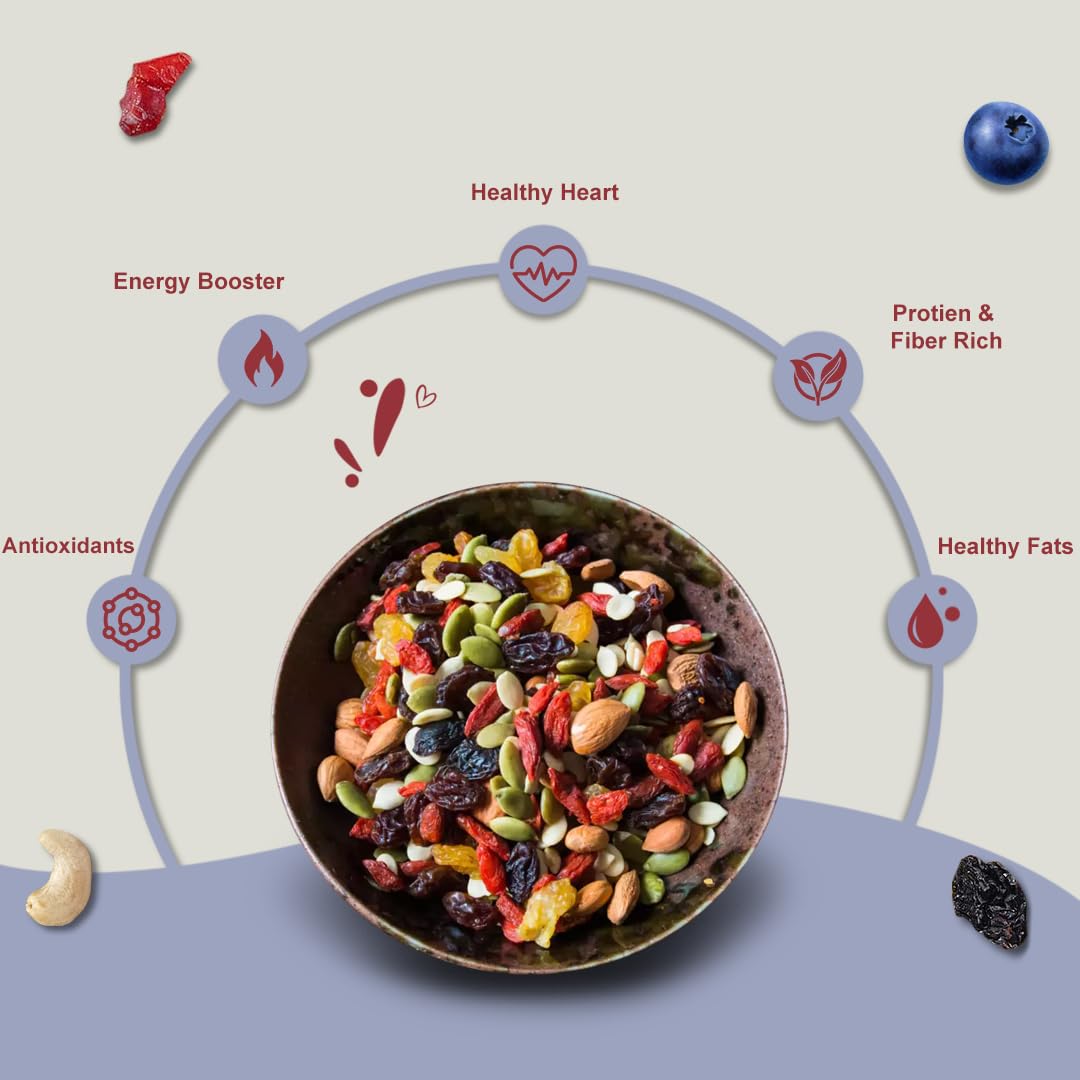 Khari Foods Nuts Berries Snack Trail Mix, 6 in 1 Mix of Almonds, Cashews, Pumpkin Seeds, Dried Cranberries, Blueberries, Black Raisins, High Energy Dry Fruit Snacks, No Palm Oil (100g) 2