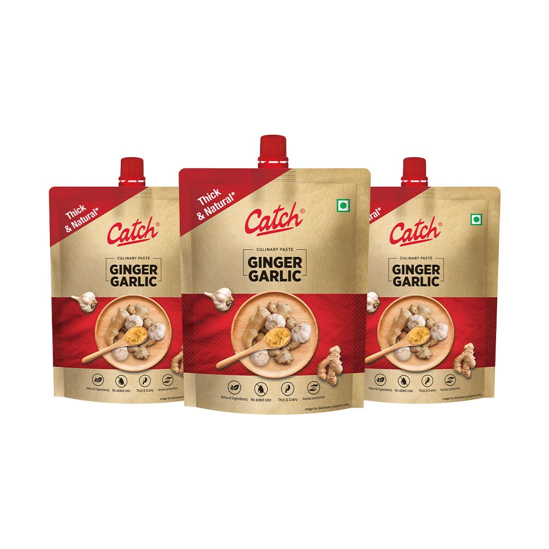 CATCH Ginger Garlic Paste 200 GM - Pack of 5(1000 GMS)