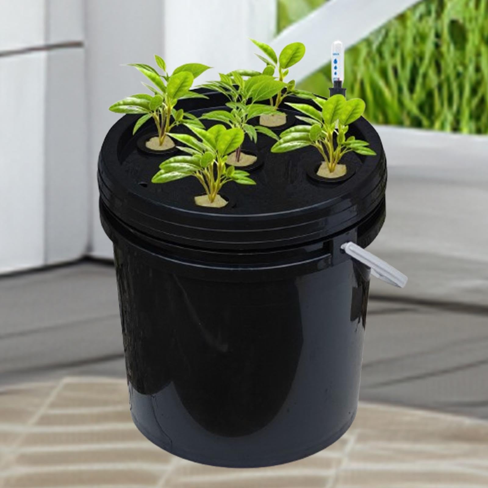 Gralara Dwc Hydroponics di in Acqua Profonda Kit per Giardino Kit per di Coltivazione per Prato per