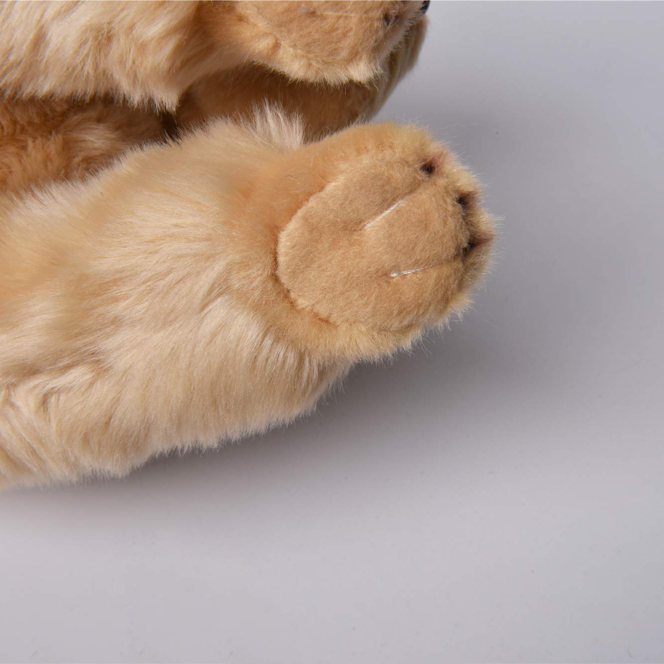 Amazon.co.jp: ゴールデンレトリバー ラブラドール レトリーバー 犬