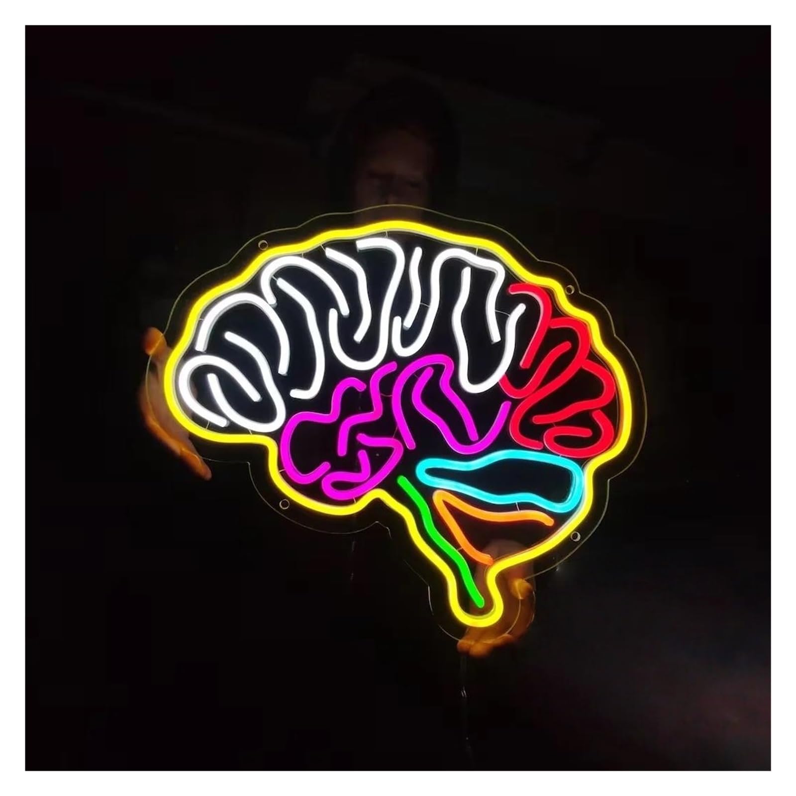 SHOUXI Sign Lamp Brain Neon Sign Organ Light Dimmable for Game Room Office Bedroom Home Wall Decor 50cm(B)