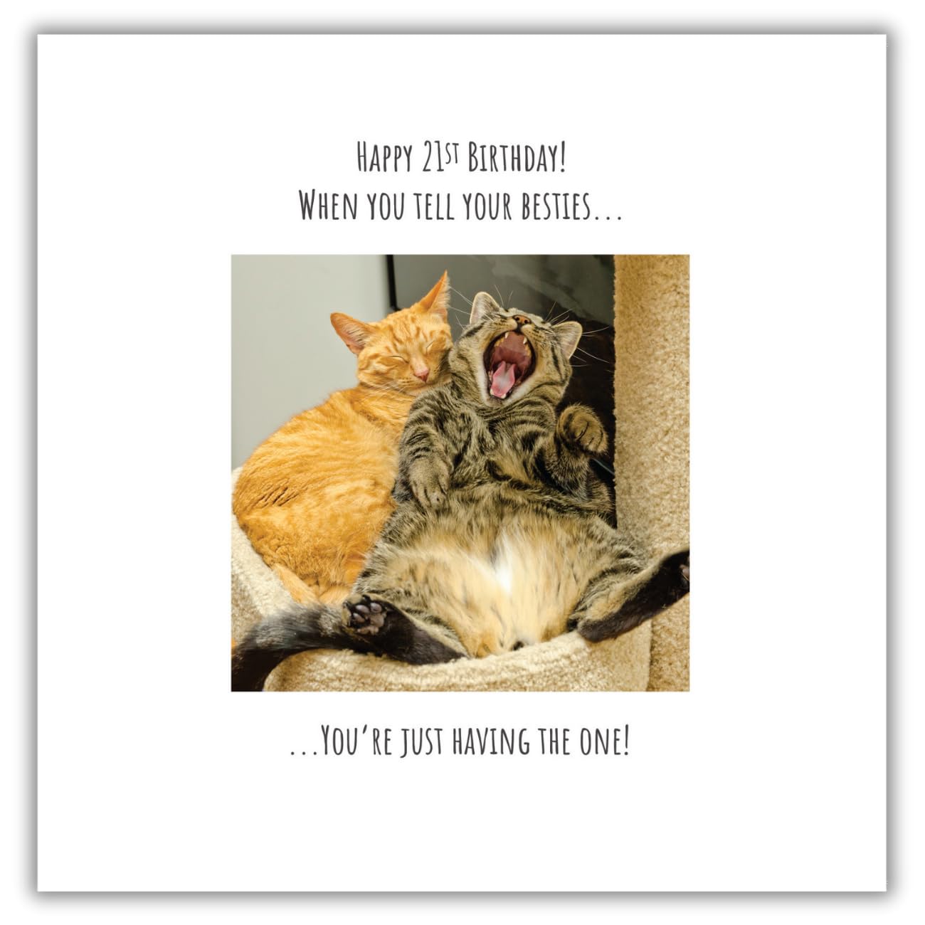 Funny 21st Birthday Card Cat Lovers Humorous Best Friends Greetings Card Besties