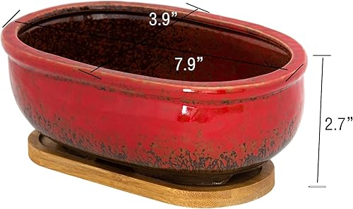 Miniatura 2 de Macetas para suculentas, macetas rectangulares de 7.9 pulgadas de largo con bandeja de drenaje, macetas poco profundas para plantas de interior,