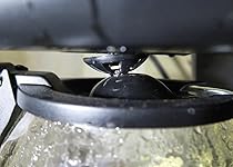 Review Image by S. Reisman S. Reisman