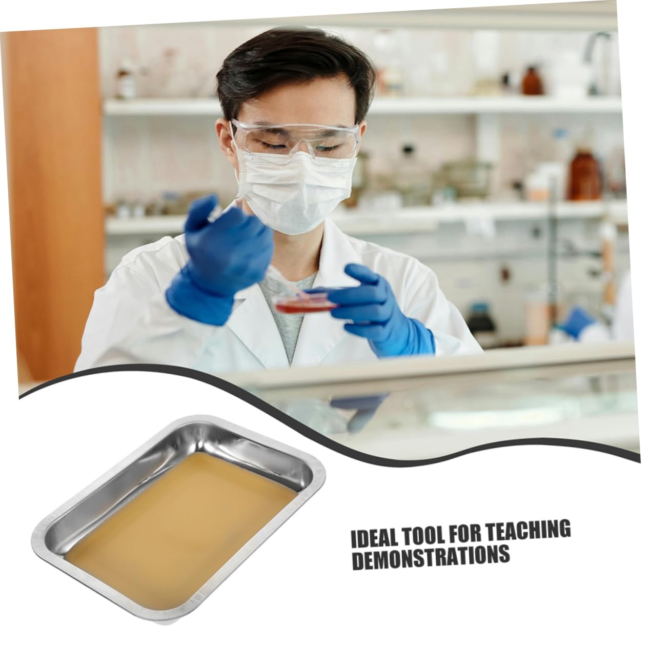 Toyvian 2 Piastra Rivestita Cera per Esperimenti Biologici Strumento Didattico per Laboratori e Classi