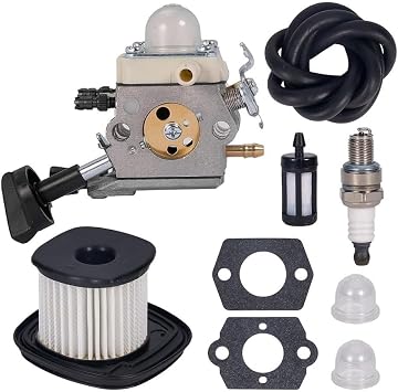 42411200607 616 Carburetor Fit For SH86/86C BG86 BG86CE/86Z/86CEZ C1M-S261B/C
