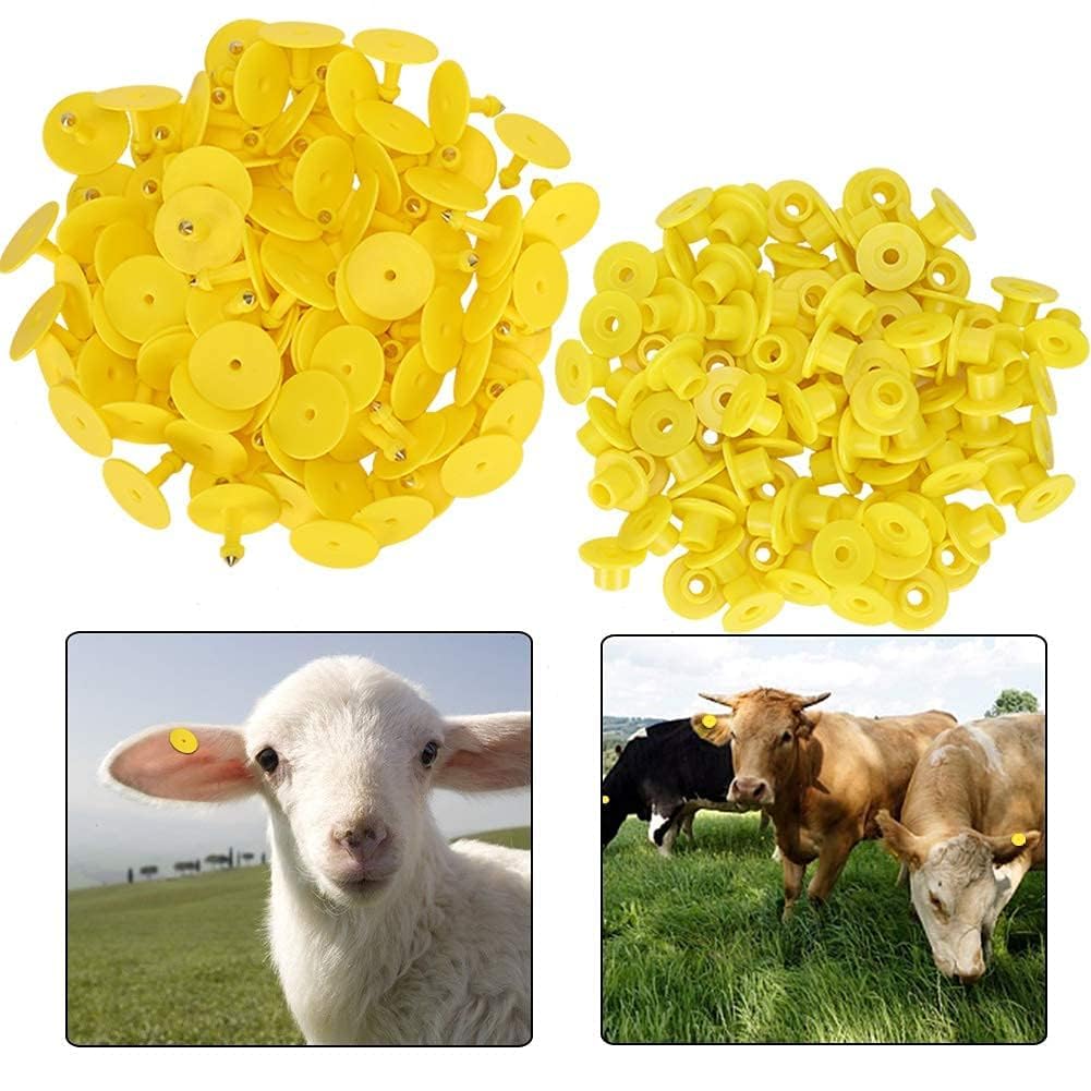 100pcs marchi auricolari di pecora giallo PU marchi auricolari identificazione bestiame etichette auricolari vuote per capra agnello bovini mucche maiali(Giallo)