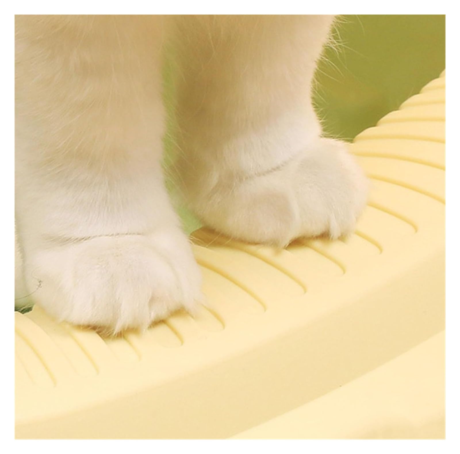 Katzentoilette mit hoher Seite, offene Oberseite, abnehmbare Katzentoilette, leicht zu reinigen, Kätzchen, Töpfchen, Toilette für drinnen (grün)