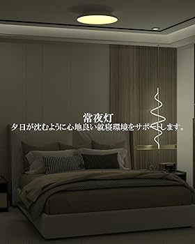 LEDシーリングライト ~6畳 Alexa認定 24W 2800lm 61d+jQlmWSL._AC_SY200_QL15_.jpg