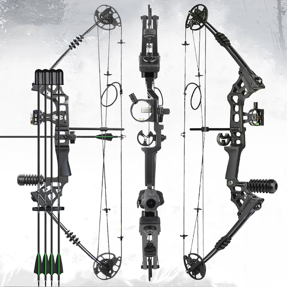 Set Arco Compound 20-70lbs regolabile 320fps Arco da tiro Arco da caccia Arco compound per principianti professionale adulti arco compound Arco da tiro con frecce