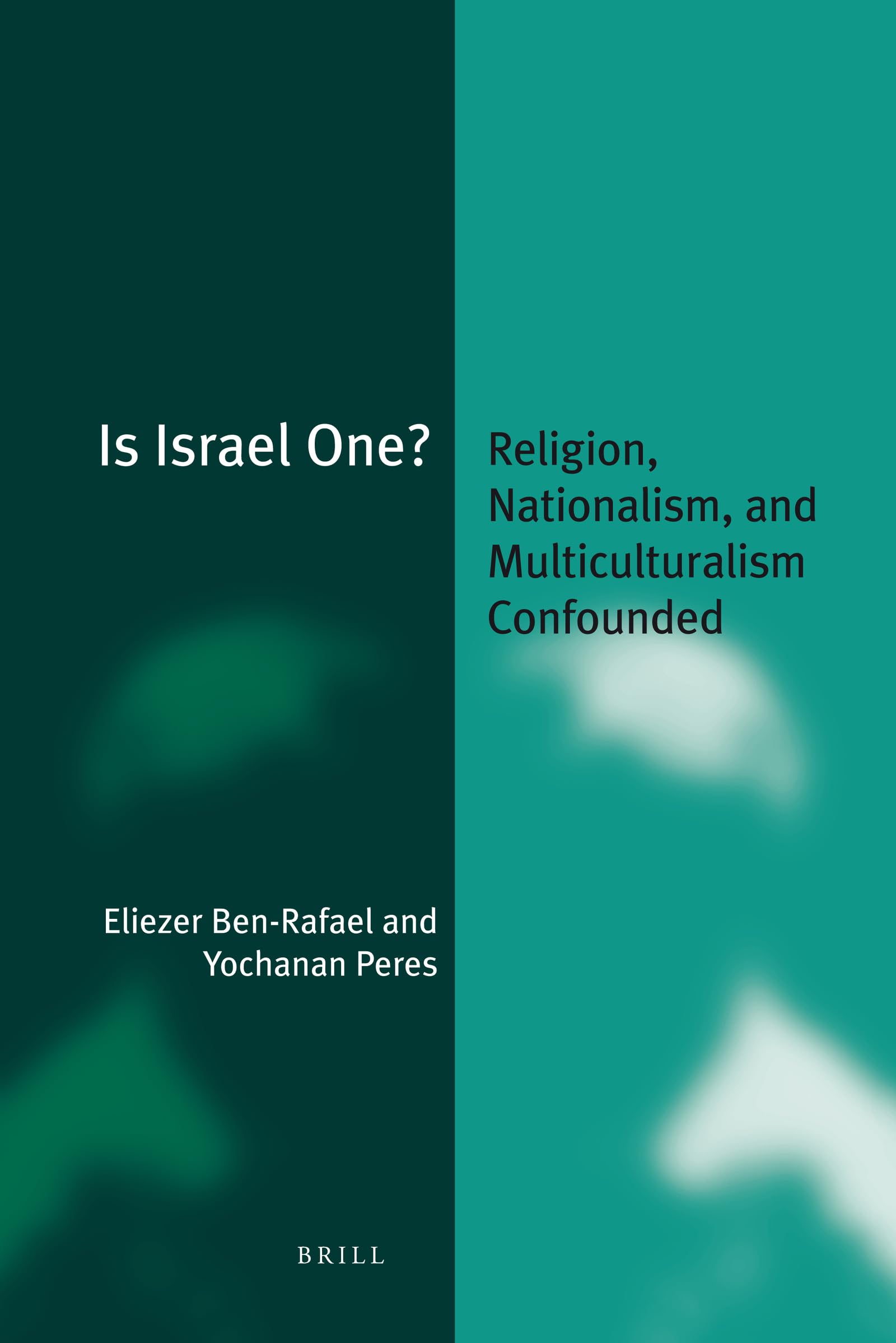 Is Israel One?: Religion, Nationalism, and Multiculturalism Confounded: 5 (Jewish Identities in a Changing World, 5)