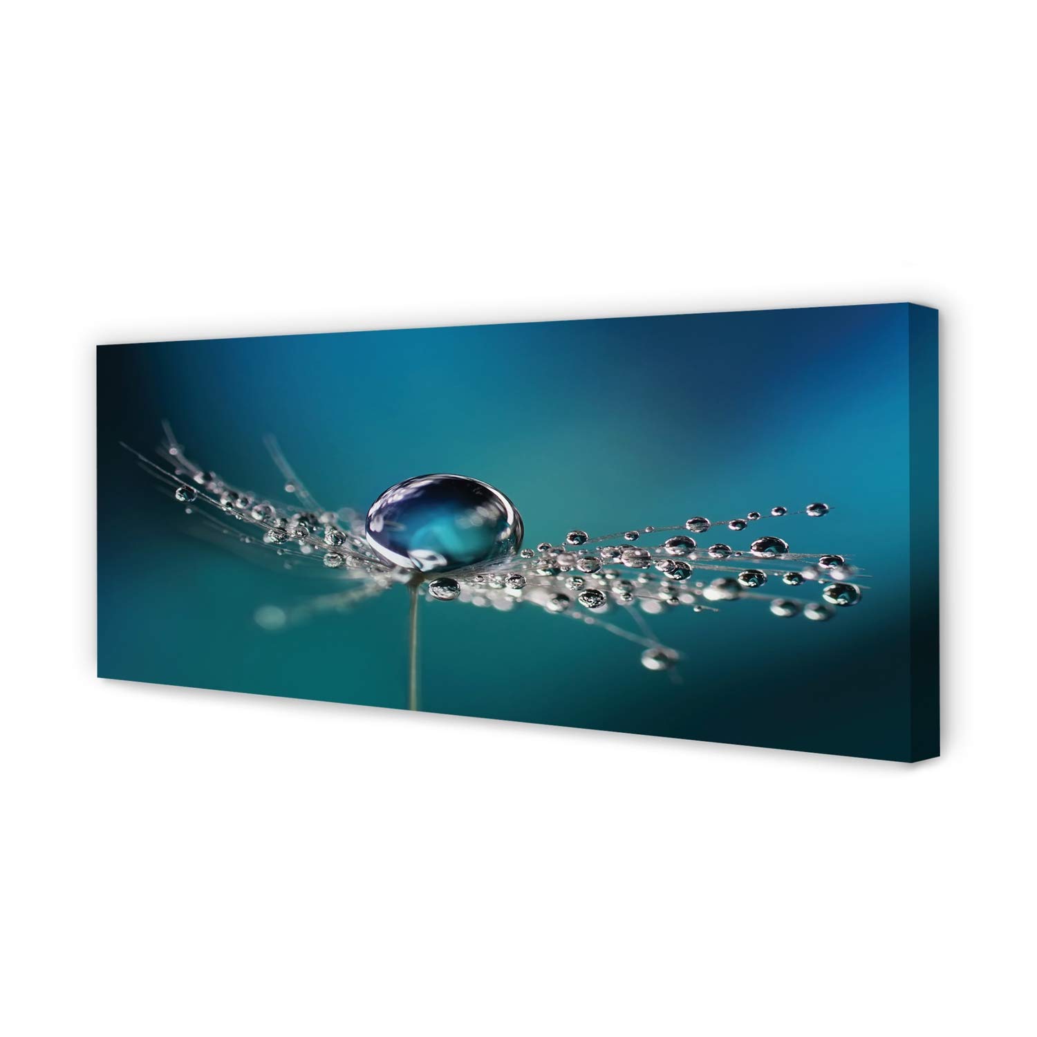 Tableau decoration murale pissenlit macro pour habiller le salon avec élégance