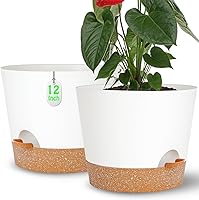 Vista 10 de Macetas de autoriego, macetas para plantas de interior, macetas para plantar flores en interiores para plantas de casa, violeta africana, flores