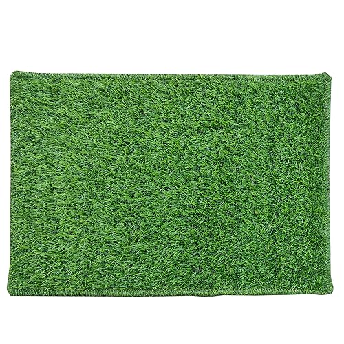 Image of Door Mats for Home | Door Mats for Home Entrance | Door Mat for Bathroom| Soft & Super Absorbent Mats for Shower | Washable, Non-Slip & Quick-Drying Mats (Pack of 2) (Green)
