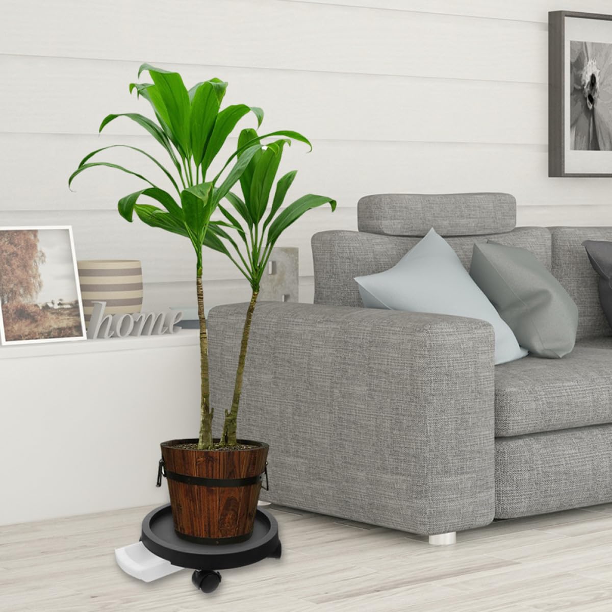Blumentopf Roller mit Rollen, Kunststoff, Schwarz, für Bonsai