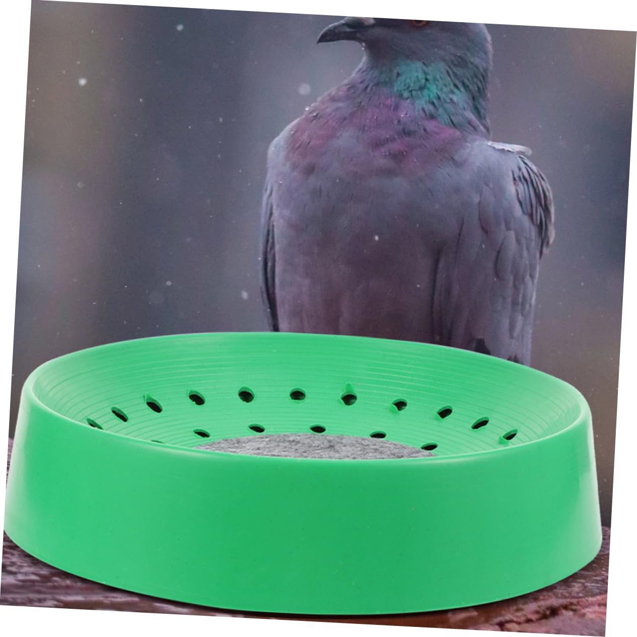 WOONEKY Lot de 10 Nids de Pigeons en Plastique Solide Nids D'œufs pour Reproduction Taille Adaptée Confortable pour Élevage Domestique et Animalerie