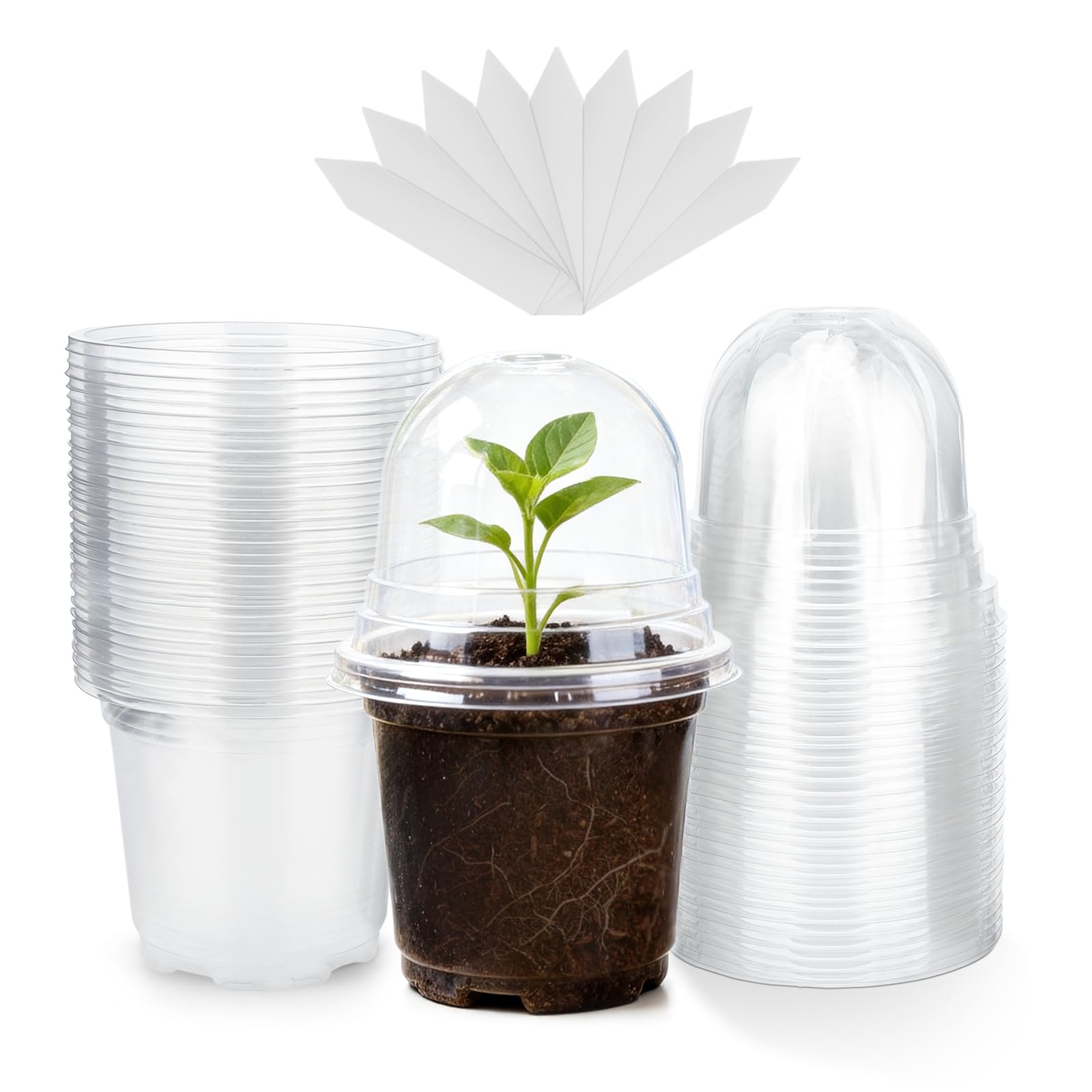 KINGLAKE 8 Pièces 10CM Cache Pot de Fleurs Plastique, Pot de Plante extérieur, Pot de Fleurs pépinière, adapté pour Balcon intérieur, Bureau, extérieur,Blanc KINGLAKE 8 Pièces 10CM Cache Pot de Fleurs Plastique, Pot de Plante extérieur, Pot de Fleurs pépinière, adapté pour Balcon intérieur, Bureau, extérieur,Blanc