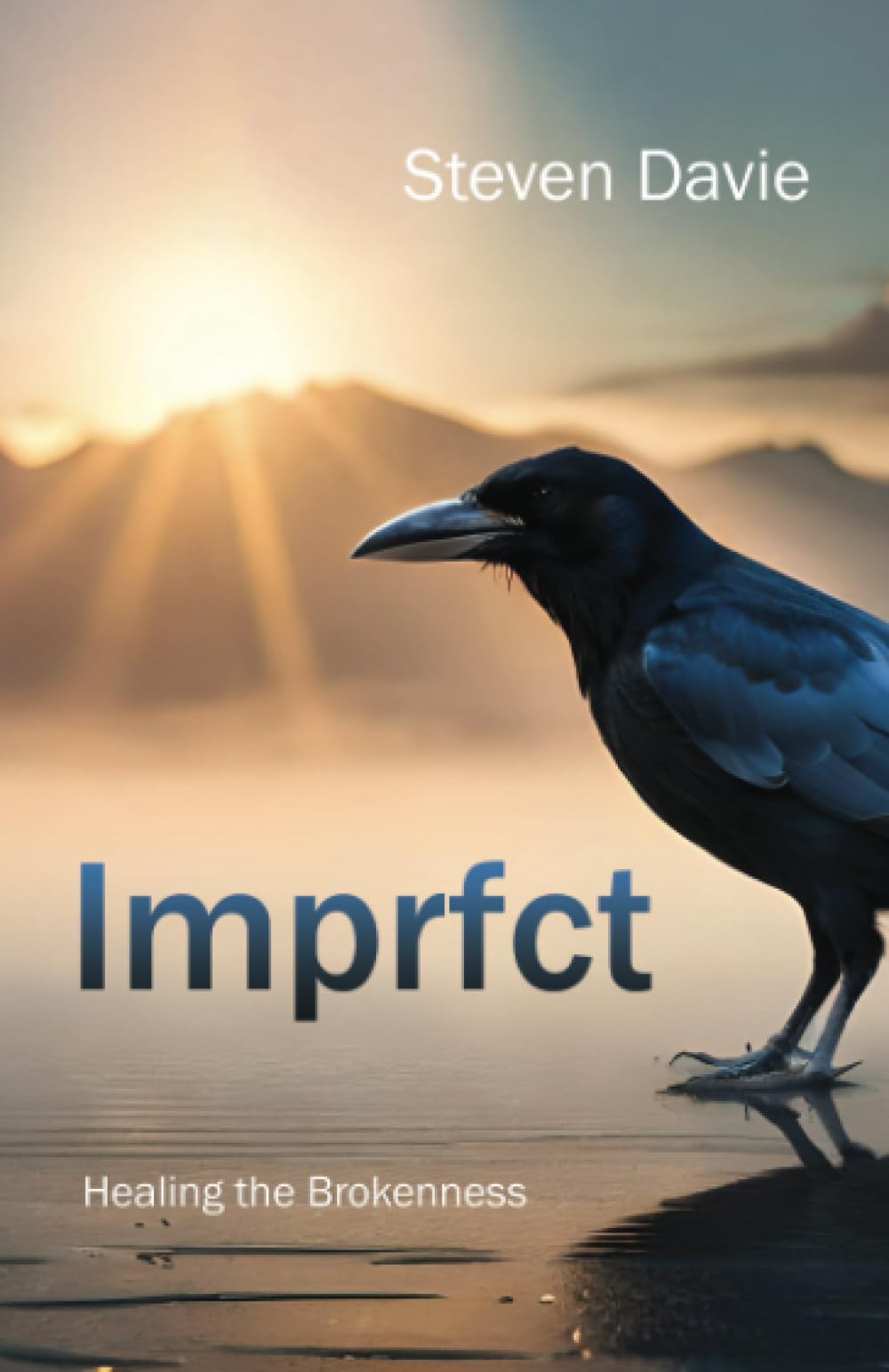 Imprfct: Healing the Brokenness,Davie, Steven Steven Davie,