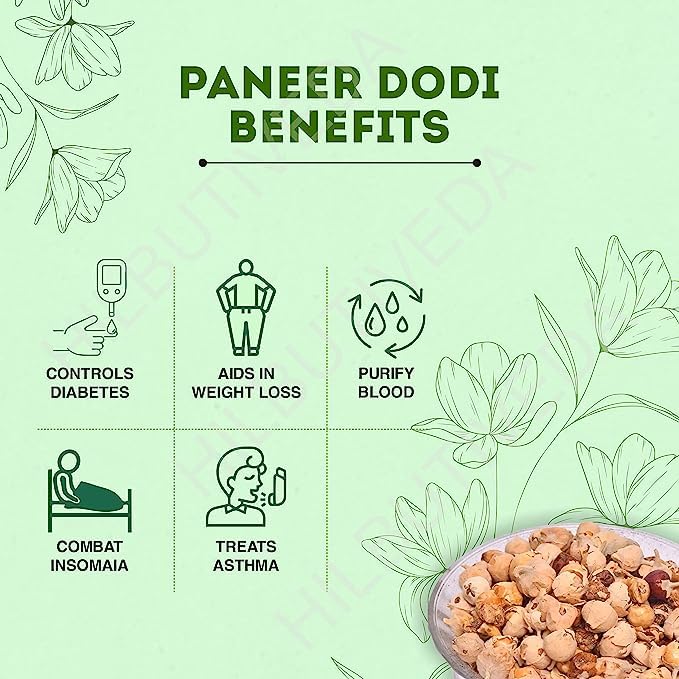 Hillbutiveda Paneer Phool Herb for Diabetes | Paneer Doda | Withania Coagulan | (100 gm) 2