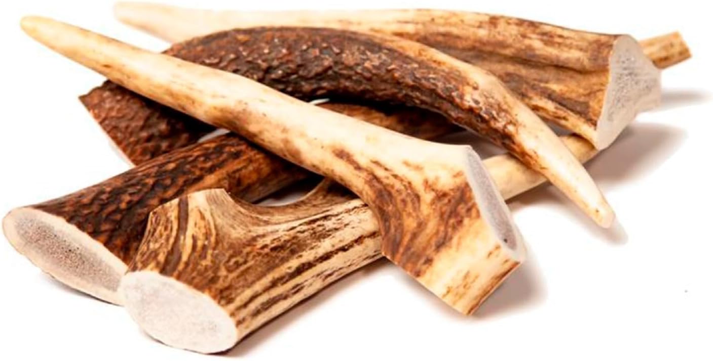 EcoKind Deer Antler Tips for Crafts – 1 Pound Bag with 12-16 Natural Antler Tips – Ideal for DIY Projects, Toggle Buttons, Jewelry, and Art Crafting