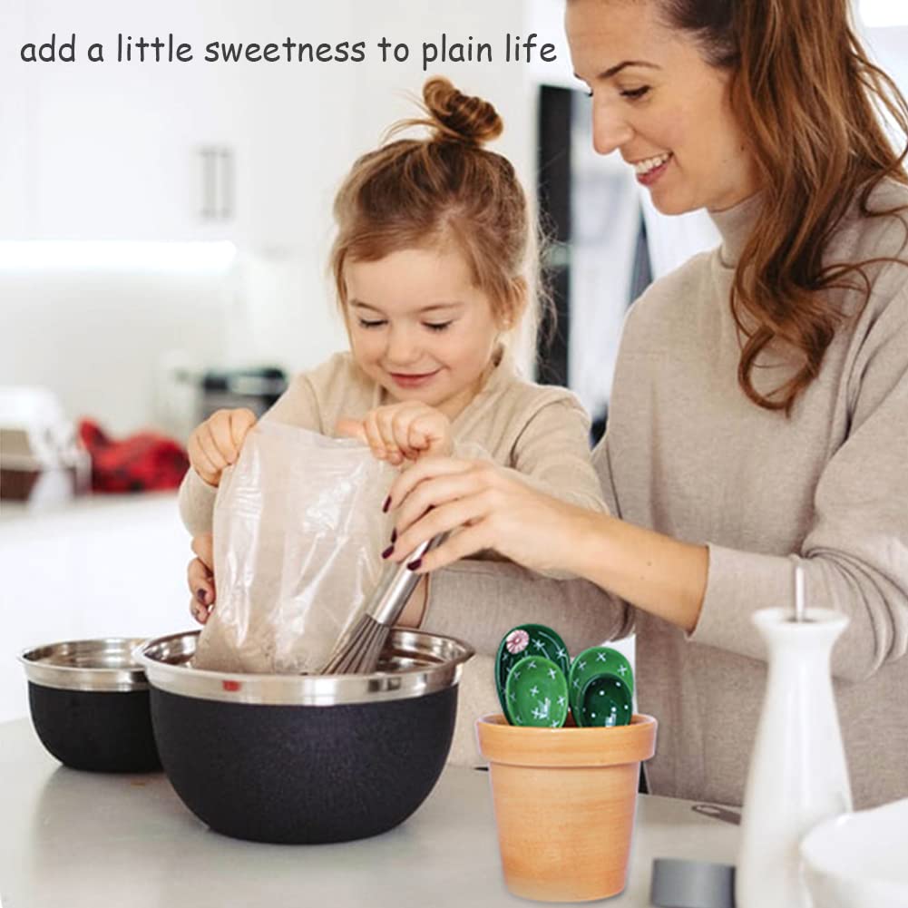 Cactus Measuring Spoons Set - Image 6