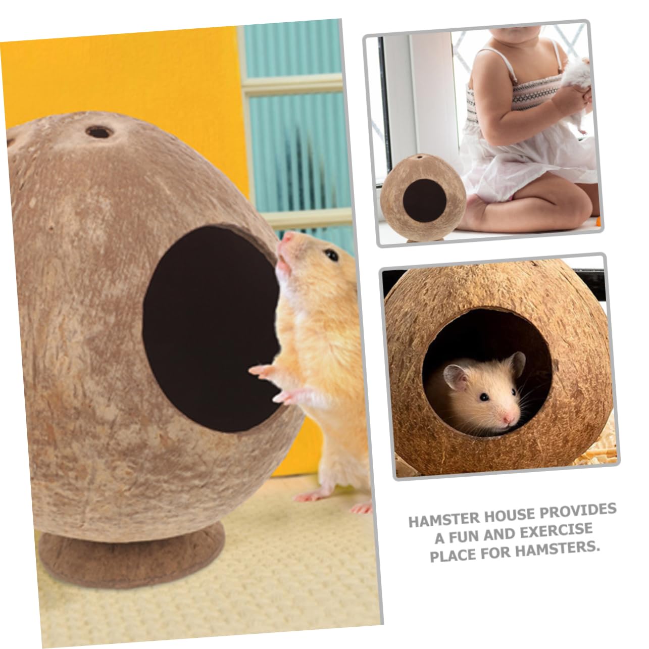 PRETYZOOM 6stücke Hamster Kokosnuss Versteck Für Kleintiere Vielseitiges Haustierhaus Für Hamster Meerschweinchen Und Igel Schlafen Und Ausruhen