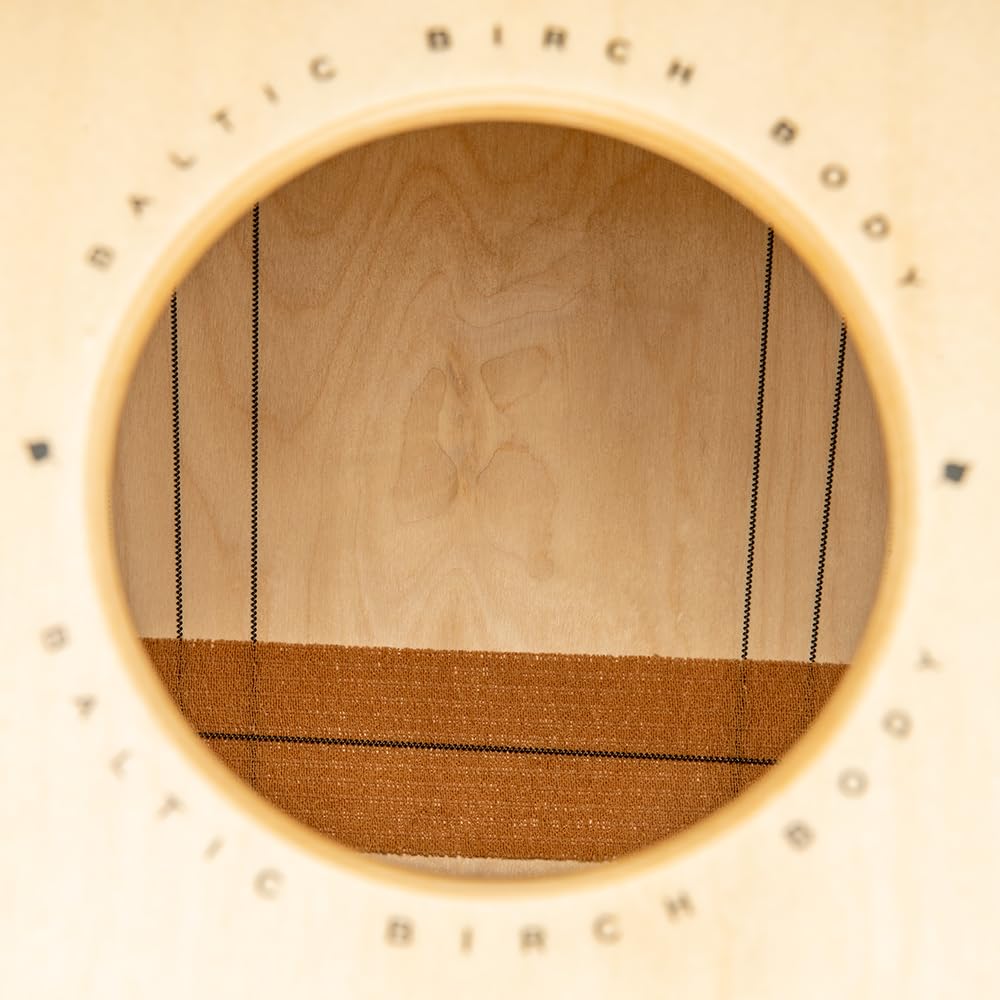 Meinl Percussion Woodcraft Cajon Instrument - Grande Drum Box con Suono Snare e Suono Basso Profondo - Superficie di Suono Betulla del Baltico (WC100B)