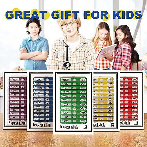 Image of Jiusion 60Pcs Prepared Microscope Slides Specimen Animals Insects Plants Flowers Sample Biological Specimen, Stereo Microscope Slide for Kids Children Students Enlighten Education