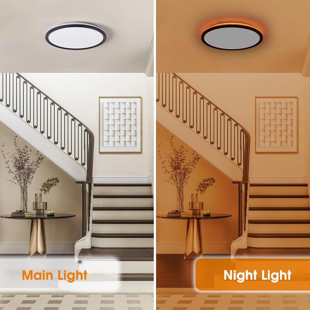 ELEPHANTBOAT plastic 12" Dimmable LED Ceiling Light with Remote Control, 24 W 3-Color Ceiling Light with Dim Night Light 1800k Warm, Round Flush LED Ceiling Lights (Black) 1