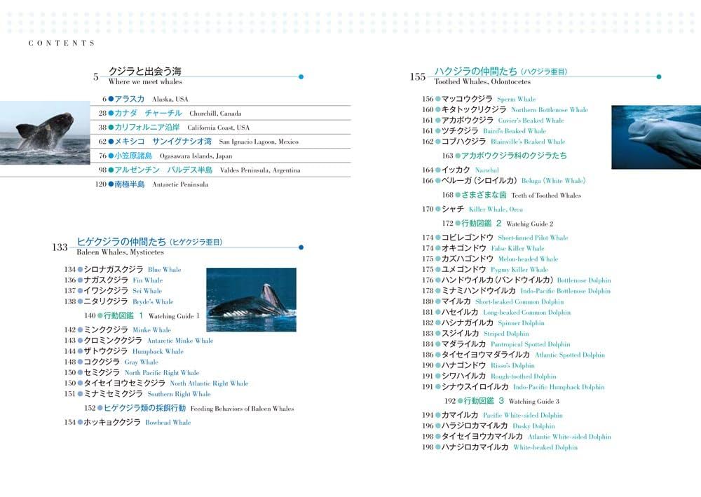 【クジラ様】医学書セット【完成編】 しろいくま様専用】イルカ・クジラビジュアル図鑑、おたる水族館