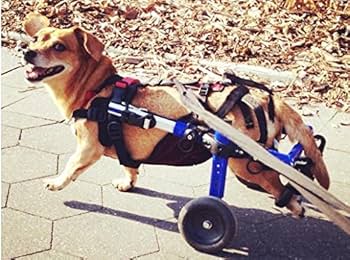 Amazon | 小型・中型犬用の車椅子 WW100（ウェルッシュ