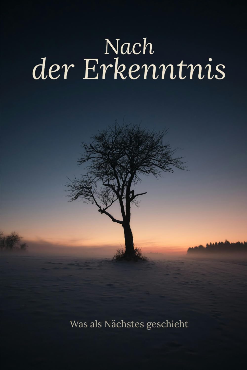 Nach der Erkenntnis: Was als Nächstes geschieht (Bewusstsein-Serie)