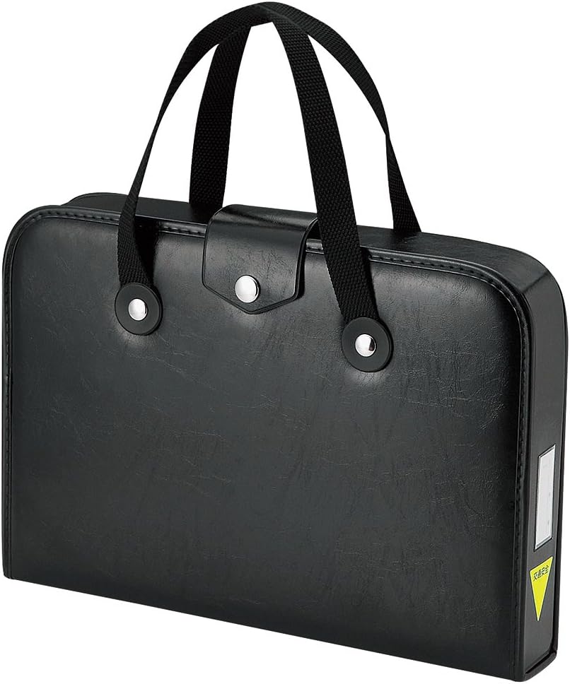 japanese arts `shodo` painting kanji set