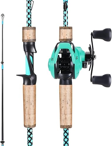 Sougayilang Combo de carrete de caña de pescar, acción rápida, 2 piezas, caña de pescar con carrete de cebo